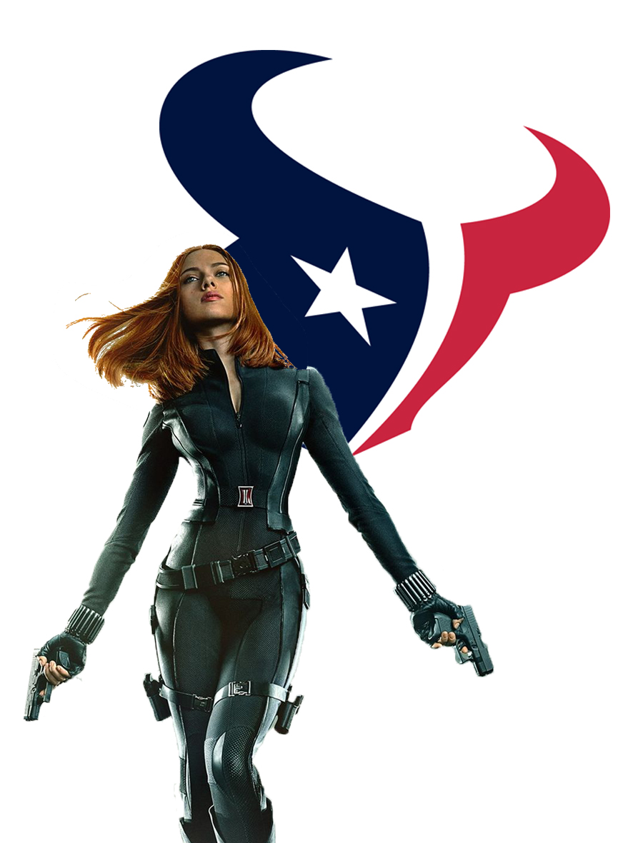 Houston Texans Black Widow Logo vinyl decal